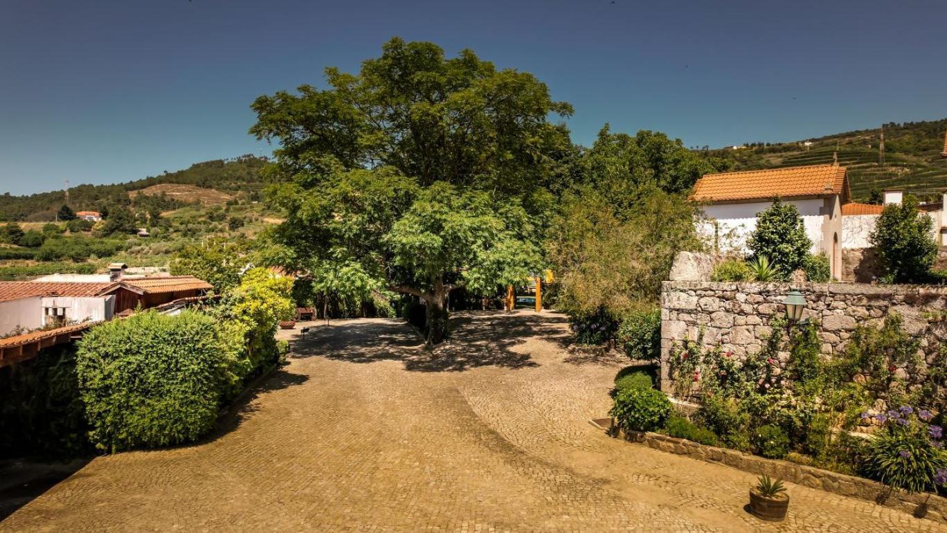 Quinta Do Terreiro - Turismo De Habitacao Hotel Ламего Екстериор снимка